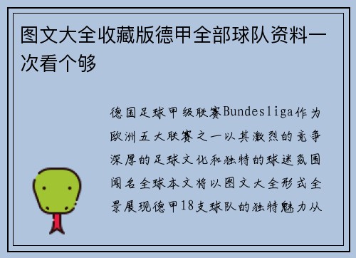 图文大全收藏版德甲全部球队资料一次看个够